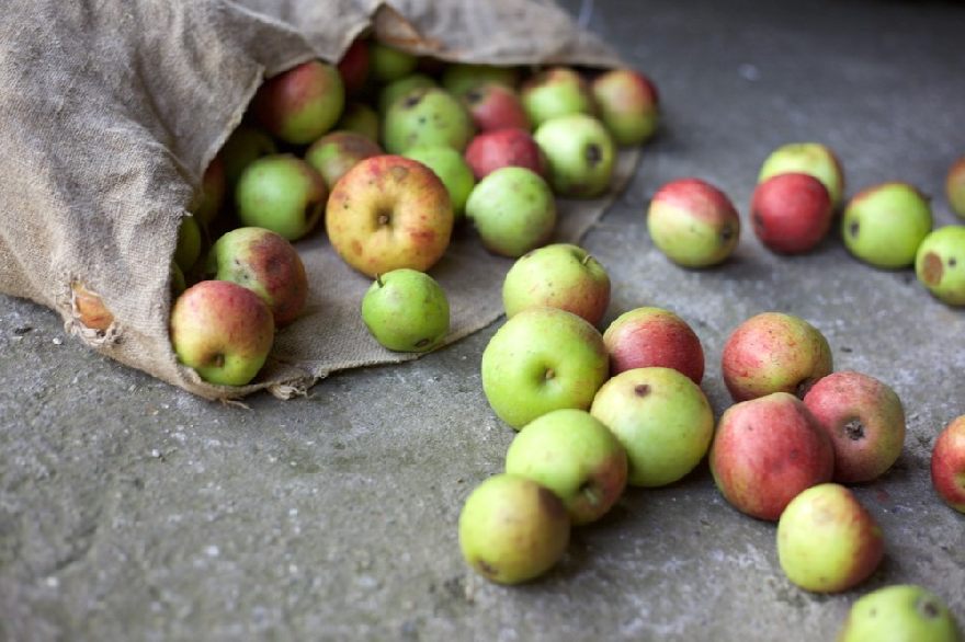 Äpfel im Sack